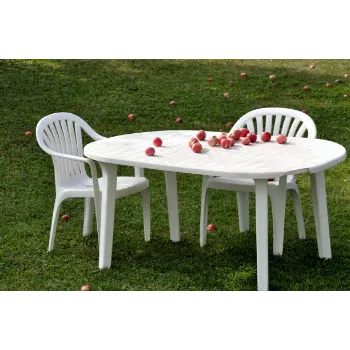 Plastic Garden Chair
